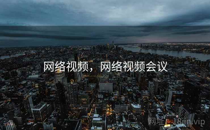 网络视频，网络视频会议  第1张