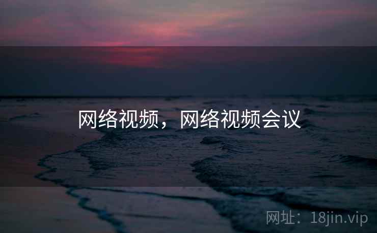 网络视频，网络视频会议  第2张