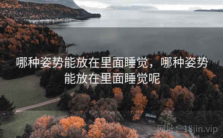 哪种姿势能放在里面睡觉,哪种姿势能放在里面睡觉呢  第2张 哪种姿势能放在里面睡觉,哪种姿势能放在里面睡觉呢  第2张